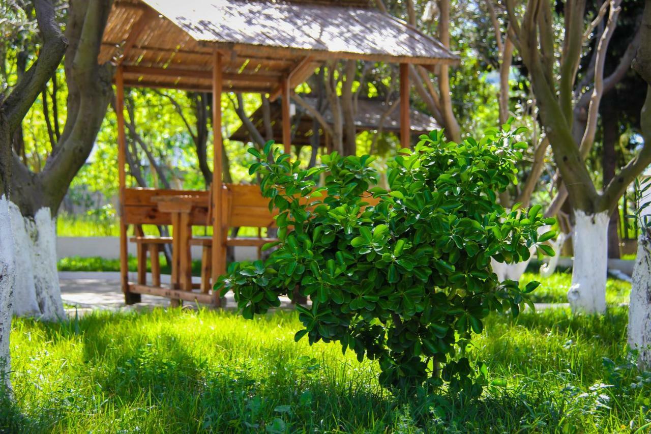 Mavi Dalga Beach Hotel Lokbatan Exteriér fotografie